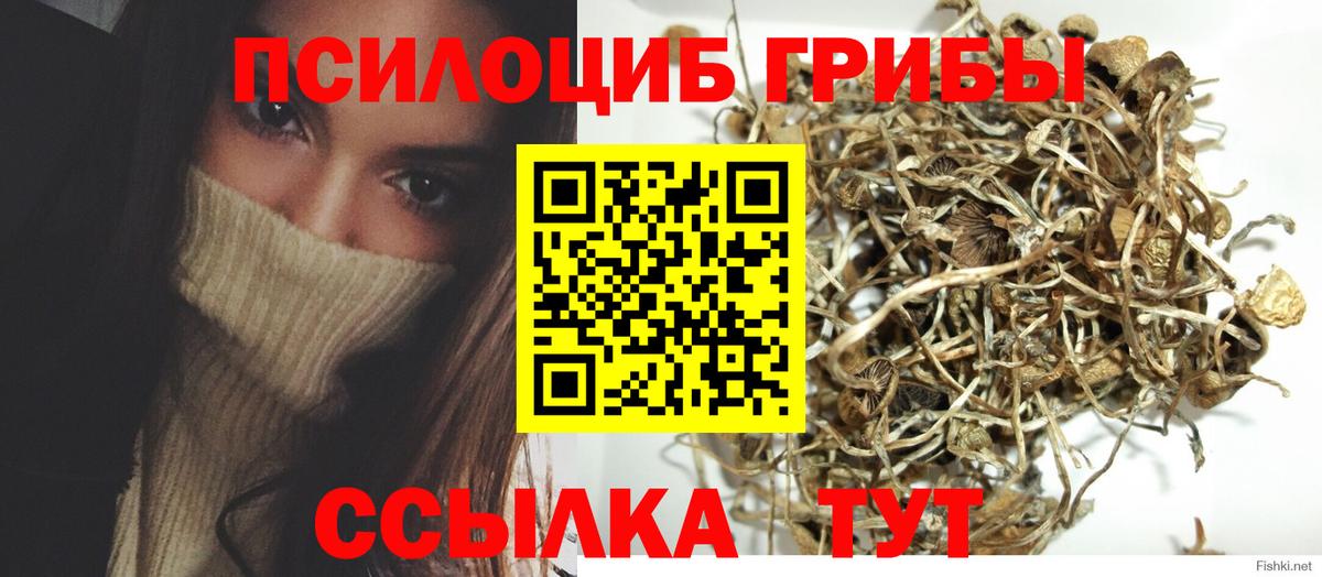 наркошоп  Вход с VPN  Аша  Галлюциногенные грибы мухоморы  Псилоцибиновые грибы ЛСД 